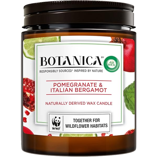 Botanica by AirWick Air Freshener Naturally Derived Wax Candle, 205g